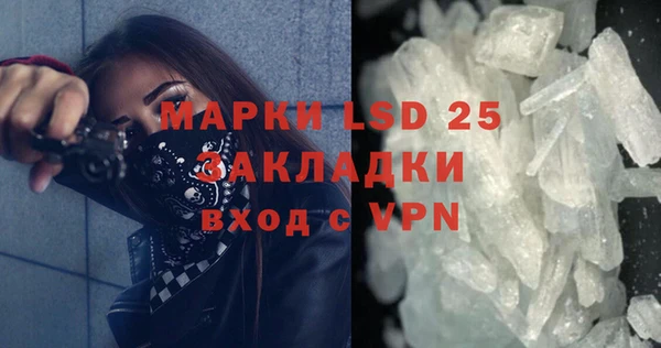 ECSTASY Алзамай