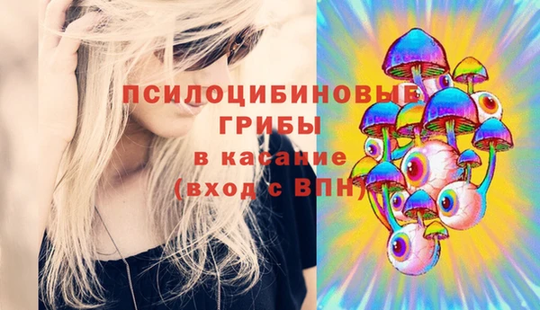 ECSTASY Алзамай