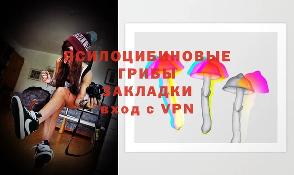 ECSTASY Алзамай