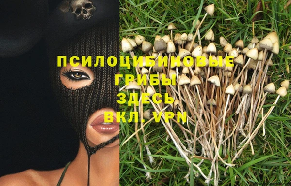 ECSTASY Алзамай