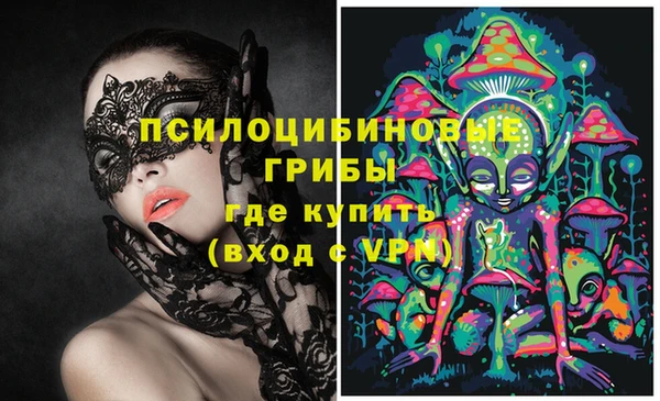 каннабис Алексеевка