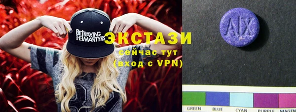 ECSTASY Алзамай