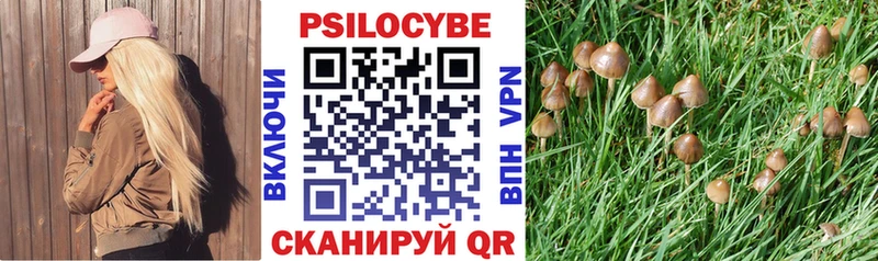 где купить наркоту  нарко площадка как зайти  Галлюциногенные грибы ЛСД  Чулым 